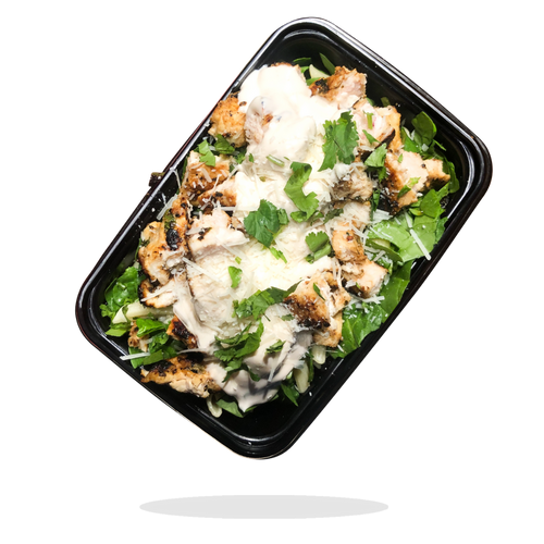Chicken Alfredo